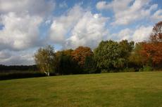 Herbststimmung-25-10-09 004.jpg
